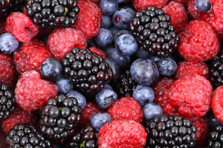 Fruits food group