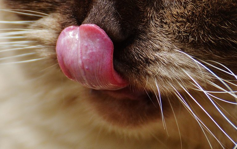 Heal geographic tongue