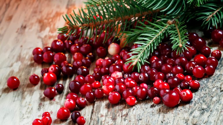 Cranberry