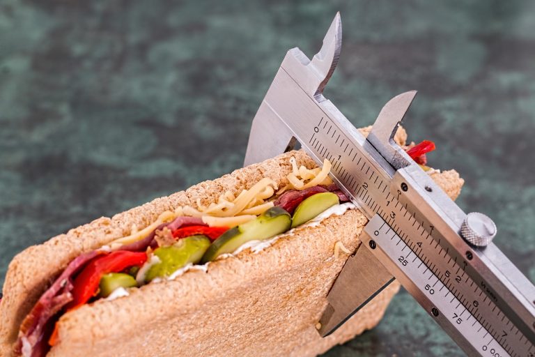 Weight loss plan guidelines