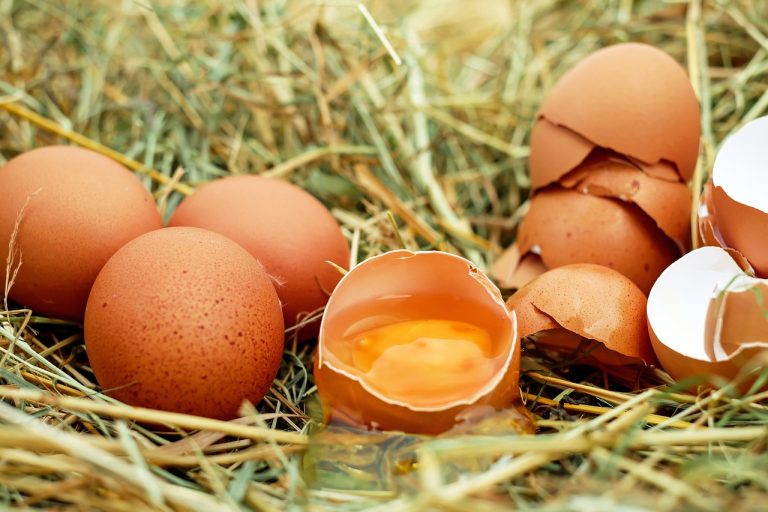 Nutritional values of eggs
