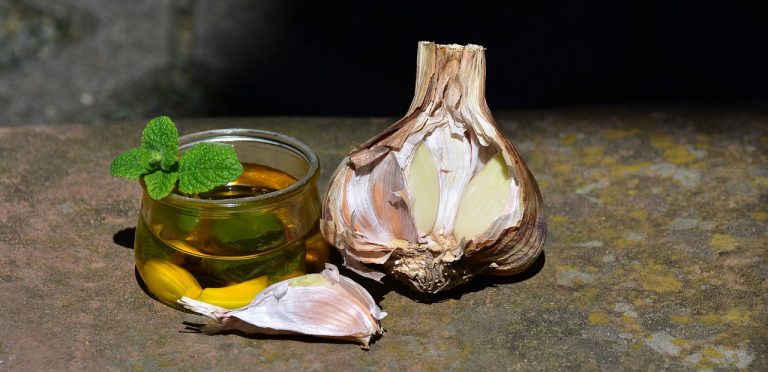 Can garlic stay in the fridge in oil