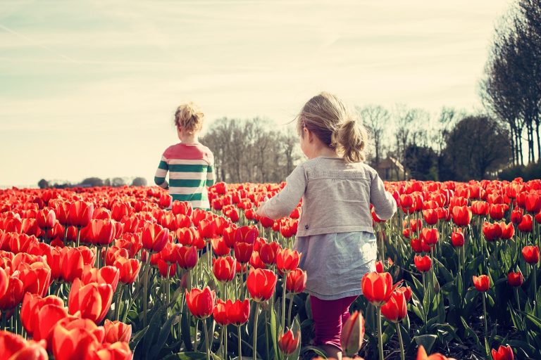 Chinese medicine for kid’s allergies
