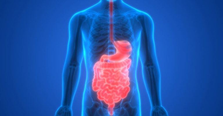 Maintain healthy gut