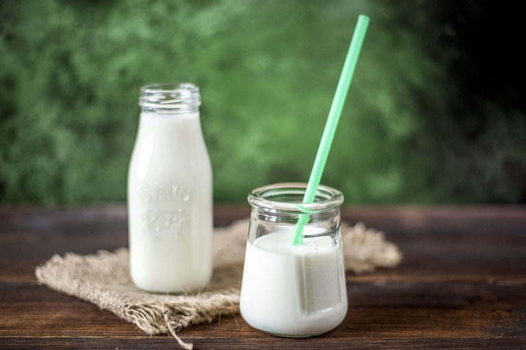 Dairy food group