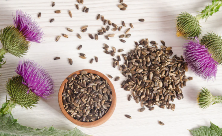 Milk thistle