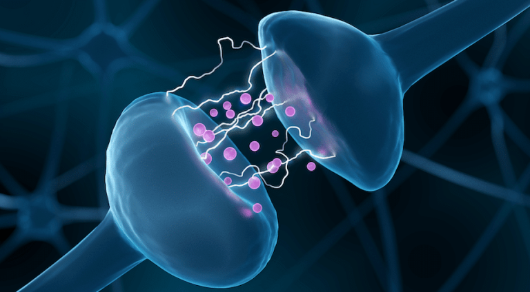 Neurotransmitters