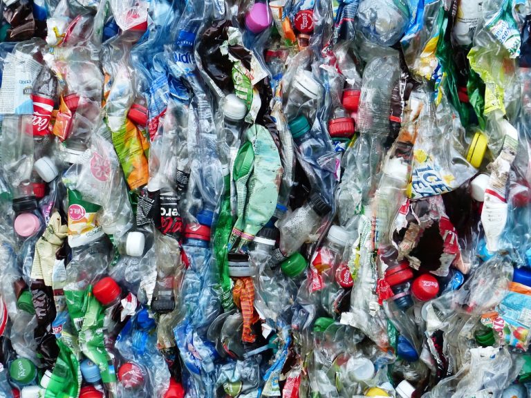Bisphenol A and phthalates