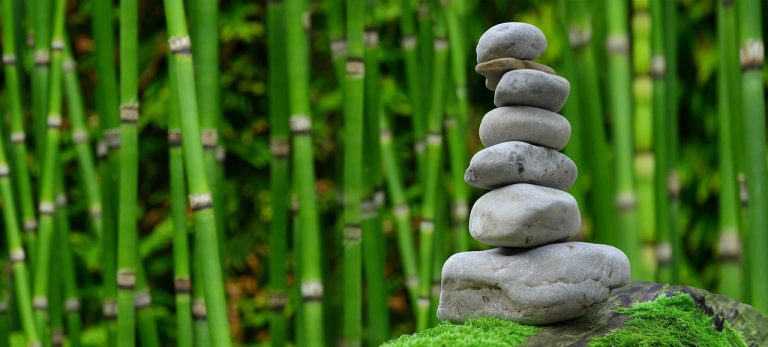 Safety of bamboo extract