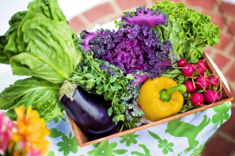 Nutritional values of vegetables