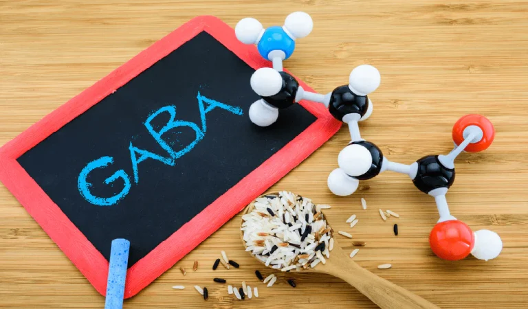 Is GABA beneficial for seizures