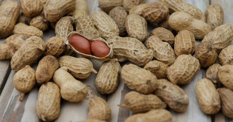 Catering for peanut allergy