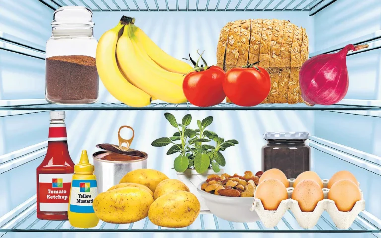 Nutrition of refrigerated foods
