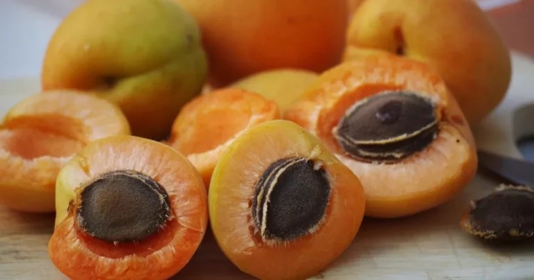 Vitamin B17 and cancer