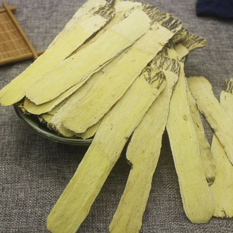 Astragalus